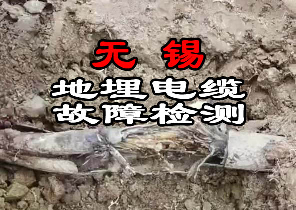 無(wú)錫電纜故障檢測(cè)